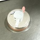 다 먹었니?