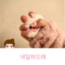 네일하드래