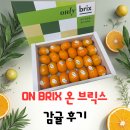 브릭스 | [on brix] 온 브릭스 감귤 후기 달고 촉촉한 진짜 프리미엄 귤 체험기