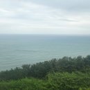 태원공인중개사사무소 이미지