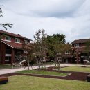 용산기지 옛 미군장교숙소(현 용산공원) 이미지