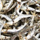 태형상회 이미지