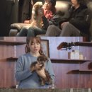 타이거네비게이션 이미지