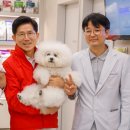 반려동물보호센터 동물병원 이미지