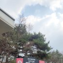 종합운동장 다목적경기장 | ⚽ 부천종합운동장 축구 직관 후기｜경기장 분위기 제대로 즐기고 왔어요
