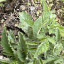 경희한방약국 이미지