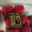 금실금방