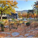 카페도토리 이미지