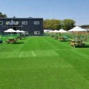 견인지역 애견운동장 유치원 김포점 이미지