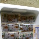 백봉오골계 부성농원 이미지