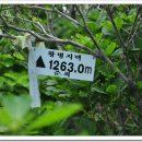 옥 산 원 이미지