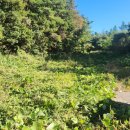 홍천염소농장 이미지