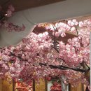 아향부 불타는 꼬치마을 이미지