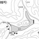 다모아레포츠