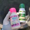 수정-135 이미지