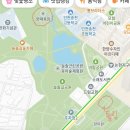 늘솔길 양떼목장과 튤립봐야 하는곳 25년4월11일 방문