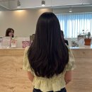 아디도(ADido) 이미지