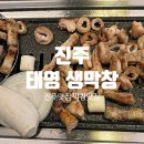 태영생막창신진주역점