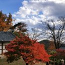 호숫가보금자리 이미지