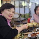 까치울 Daum카페