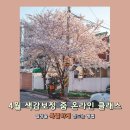 2019 오월국제교류음악회 | [마감] 4월 색감보정 줌 온라인 클래스 : 점점 퀄리티 높아지는 중