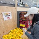 제주시 농협 본점 | [서귀포/성산읍] 하나로마트 회_하나로마트 성산일출봉농협본점(제주여행 2일차)