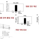 대조-008 이미지
