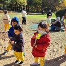 가을 숲으로 놀러가자 이미지