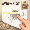 황금로-L | 굼벵이를 키우게 된 이유 l 이게 장수풍뎅이일까 사슴벌레일까?