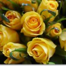 마음의 문 이미지