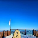 드래곤 성인PC | 평창 용평 발왕산 케이블카 CCTV 예약 할인 스카이워크 정상 겨울 풍경