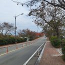 대구 경산 하양 결혼식 한복 혼주 헤어 메이크업 살롱드정원 (결혼식 일주일전 여드름 염증주사 후기)