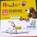 펫넘버원 이미지