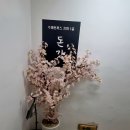 육회만드는사람들 양재점