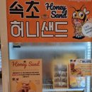 속초 가족여행 | 속초 특산품 디저트 3종 후기 (속초허니샌드/강원도옥수수파이/울산바위쿠키)