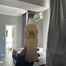 경찰묘지화장실 | #2 아르헨티나 부에노스아이레스(피자/마요광장/환전사기,,/라보카/산뗄모) 압축투어의 향연ㅋ