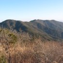 신샘목장 이미지