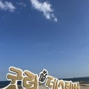 고성통일명태축제 _체험,구경거리 가득한 굿럭축제후기와 기념품들!
