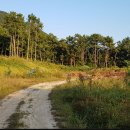 신한행정사사무소 이미지