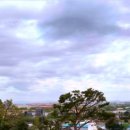 피노펠리즈 이미지