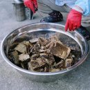 내곡2리 이미지