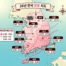 신평동375 | [2026 벚꽃 개화시기] 올해 벚꽃 피는 시기 언제? 전국 만개일 &amp; 나들이 명소 총정리