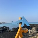 고모4 | 3박 4일 제주도 패키지 여행 후기 이모저모고모 (1.22~1.25)