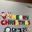 안양유치원 | 안양애견호텔 댕그리 유치원 이용한 후기