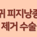 서울화봄의원 네이버블로그