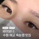 교동짬뽕세류매교점 | 수원 세류 매탄 매교 속눈썹연장 맛집 바이보니 | 디자인 오래가는곳
