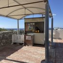 4360 | [오키나와] 츄라우미 수족관 후기 | 돌고래쇼 시간