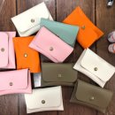 자인여자중학교 이미지