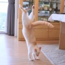 몽글몽글 이미지