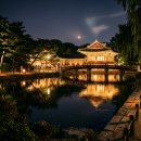 물빛-울림 | 2026 창경궁 물빛연화 봄밤에 꼭 가봐야 할 이유